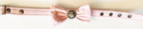 Pink Suede Cat Collar